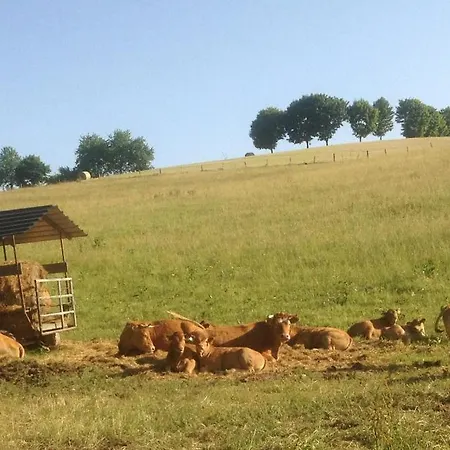 Kribs ファームステイ *