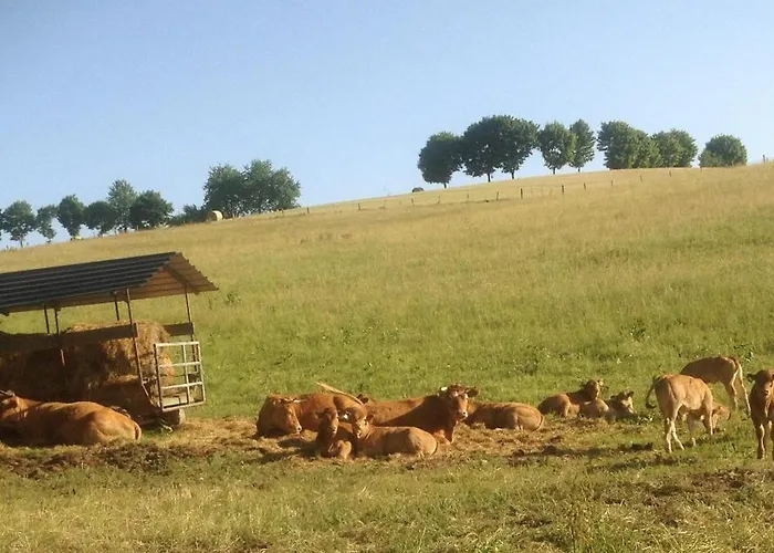 Kribs ファームステイ *